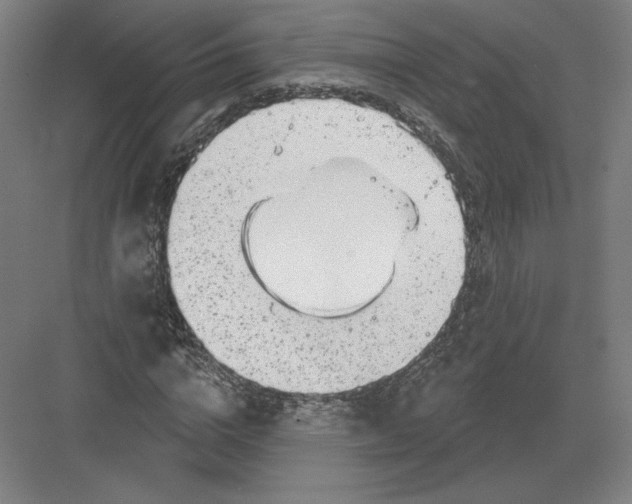 X0000082960824200702152303