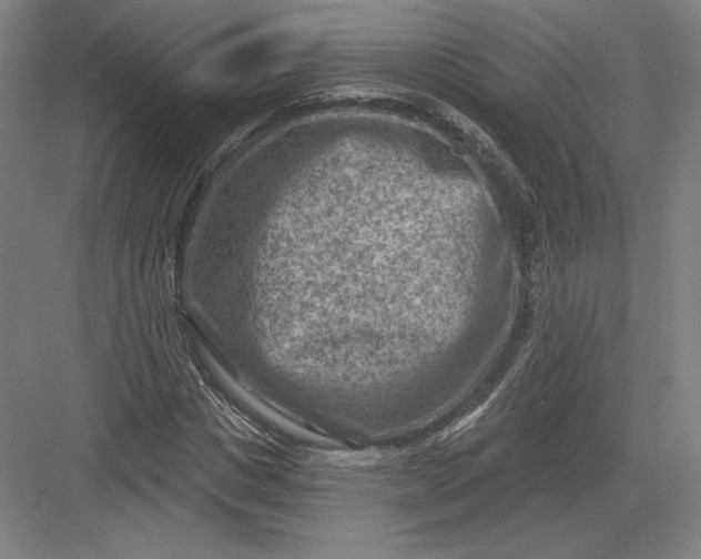 X0000082960825200702152303