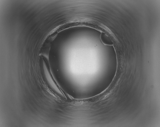 X0000082960826200702152303