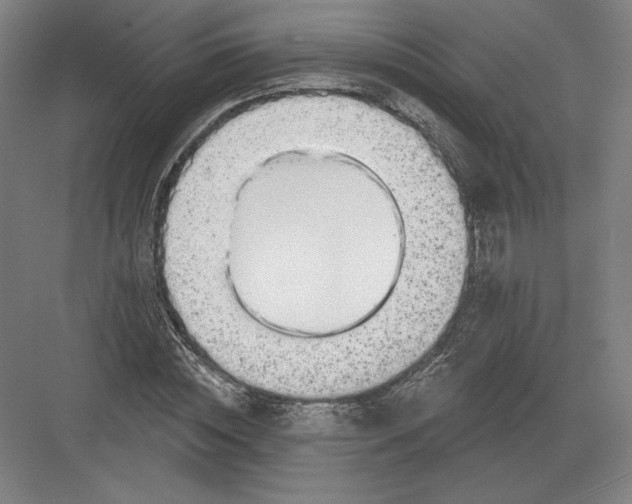 X0000082960828200702152303