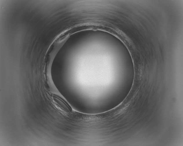 X0000082960830200702152304