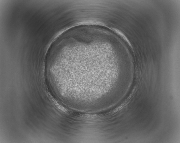 X0000082960831200702152304