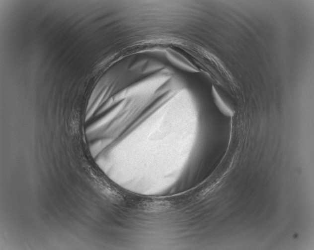 X0000082960833200702152304