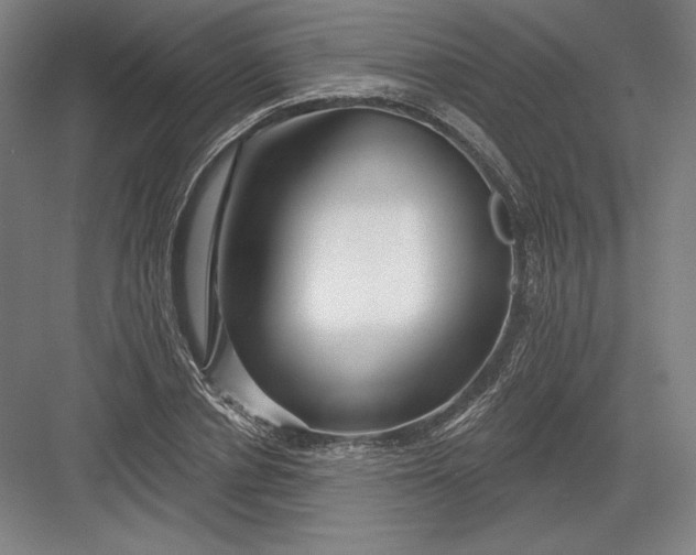 X0000082960834200702152304