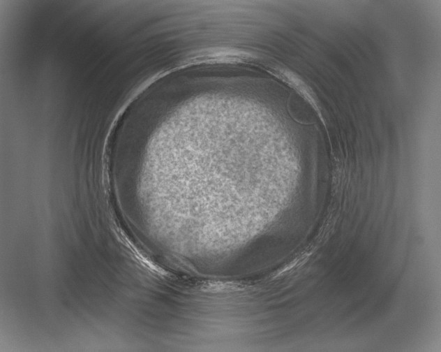 X0000082960835200702152304