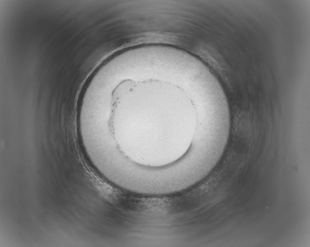 X0000082960836200702152304