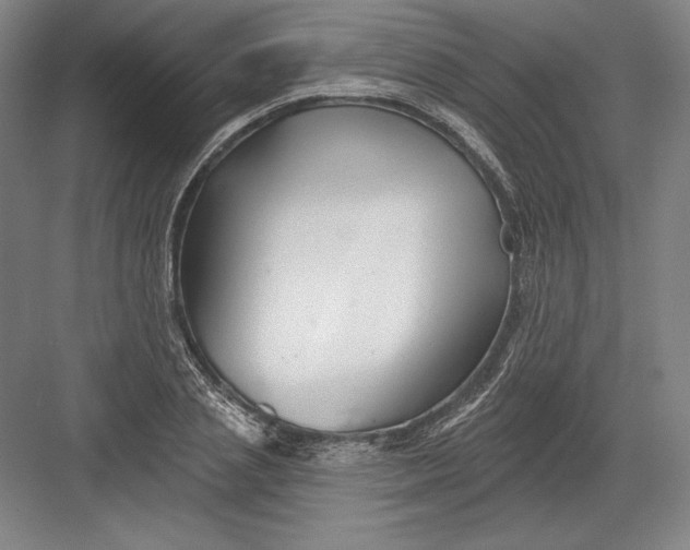 X0000082960837200702152304