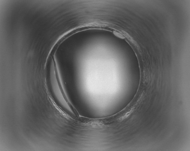 X0000082960838200702152304