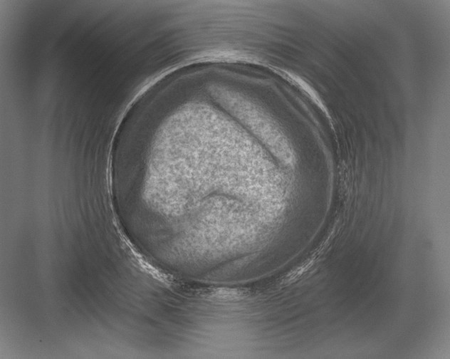 X0000082960839200702152304