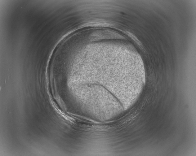 X0000082960840200702152304