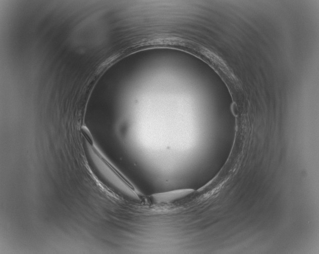 X0000082960841200702152304