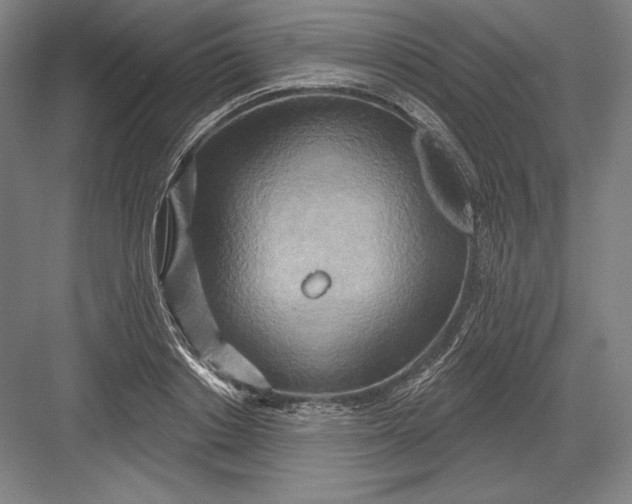 X0000082960842200702152304