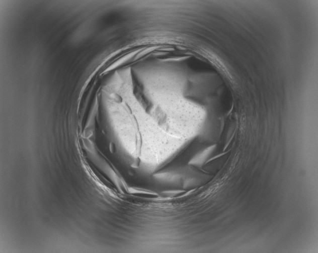 X0000082960844200702152304