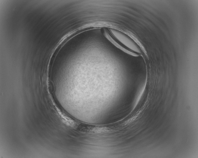 X0000082960845200702152304