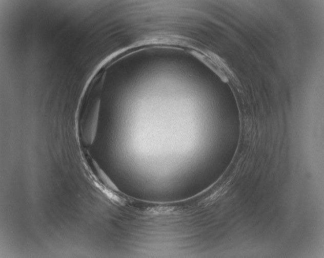 X0000082960846200702152304