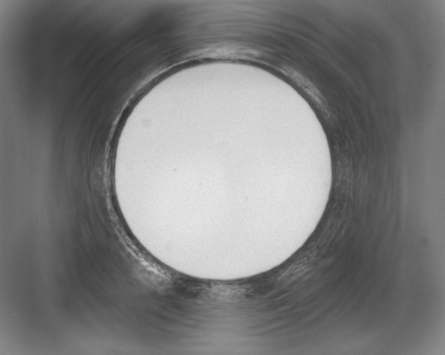 X0000082960848200702152304