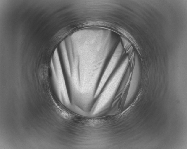 X0000082960849200702152304