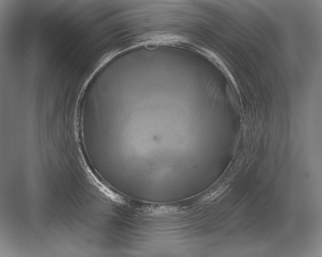 X0000082960851200702152304