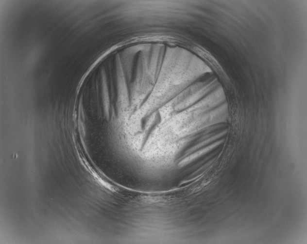 X0000082960852200702152304