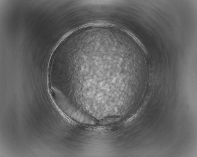 X0000082960853200702152304