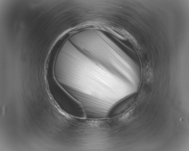 X0000082960854200702152304