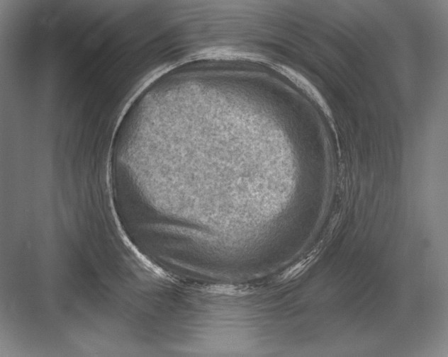 X0000082960855200702152304