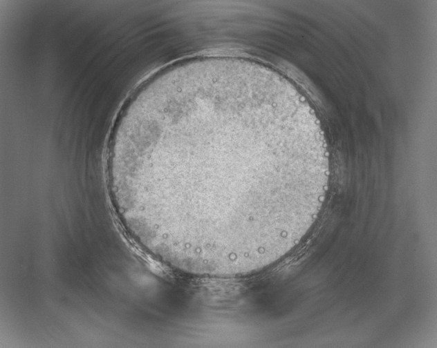 X0000082960856200702152304