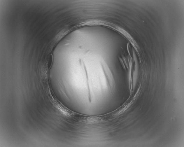 X0000082960857200702152304