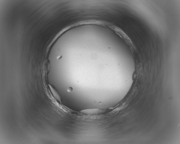 X0000082960860200702152304