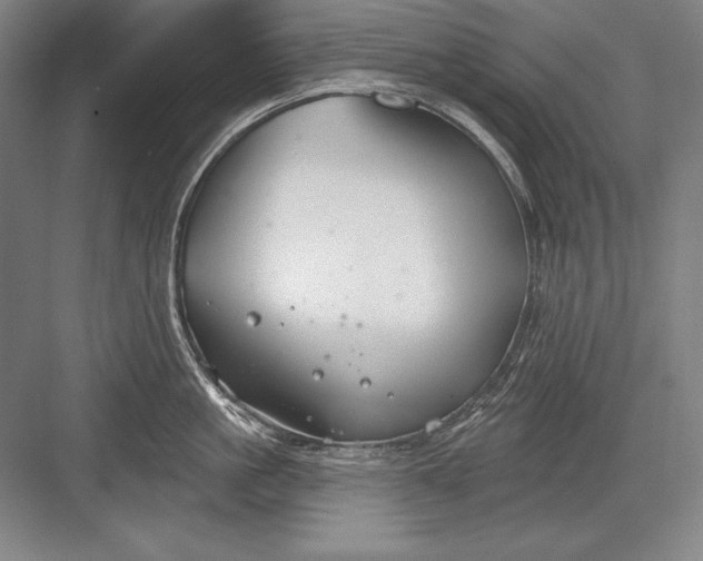 X0000082960861200702152304