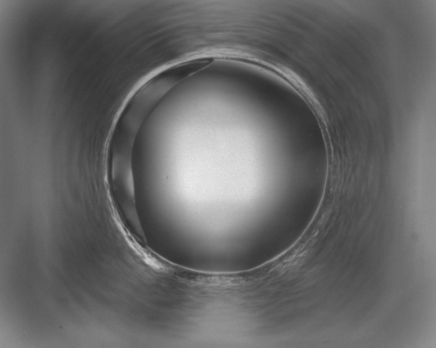 X0000082960862200702152304