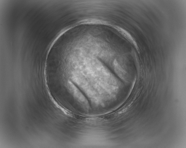 X0000082960863200702152304