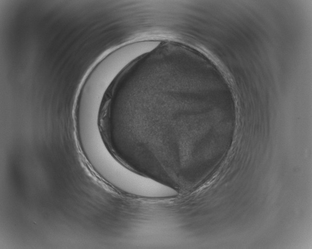 X0000082960864200702152304