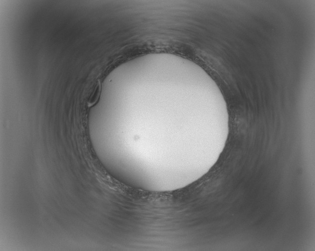 X0000082960865200702152303