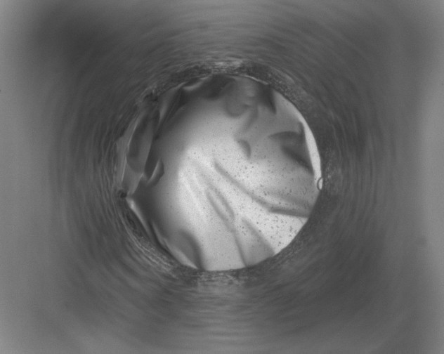 X0000082960866200702152303