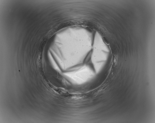 X0000082960867200702152303