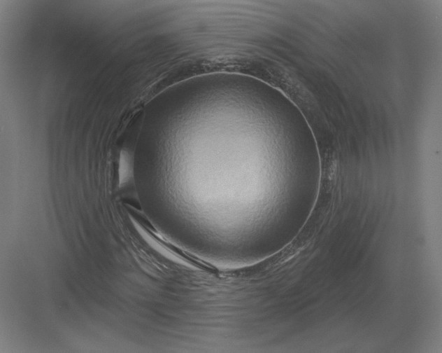 X0000082960868200702152303