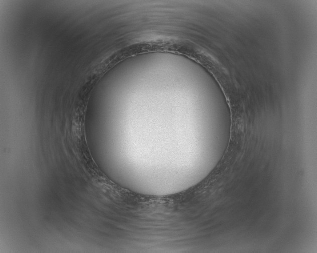 X0000082960869200702152303