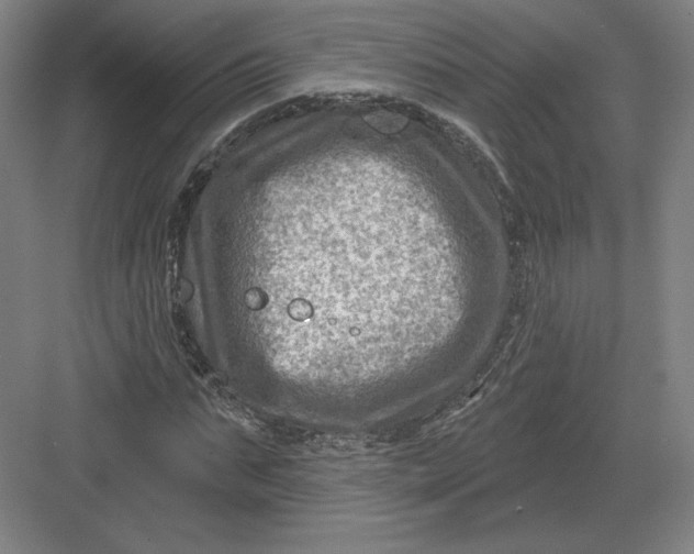 X0000082960871200702152303