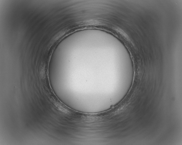 X0000082960873200702152303