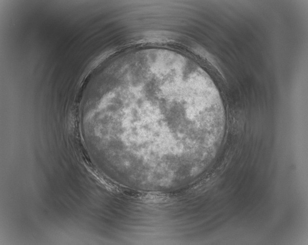 X0000082960874200702152303