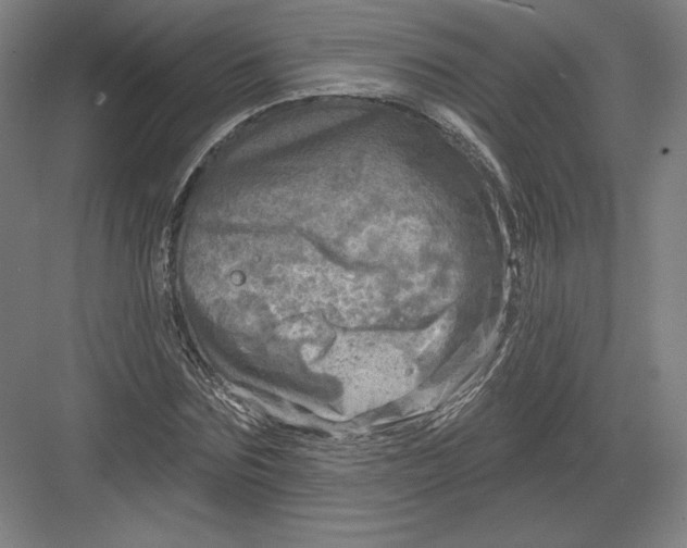 X0000082960875200702152303