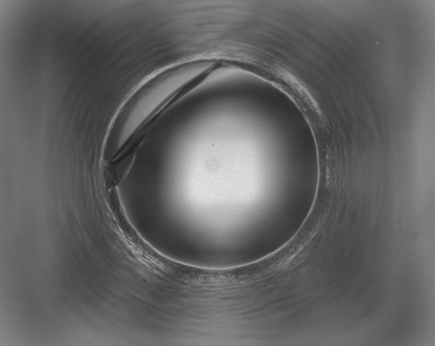 X0000082960876200702152303