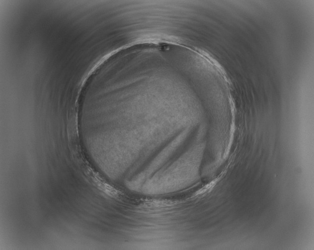 X0000082960877200702152303