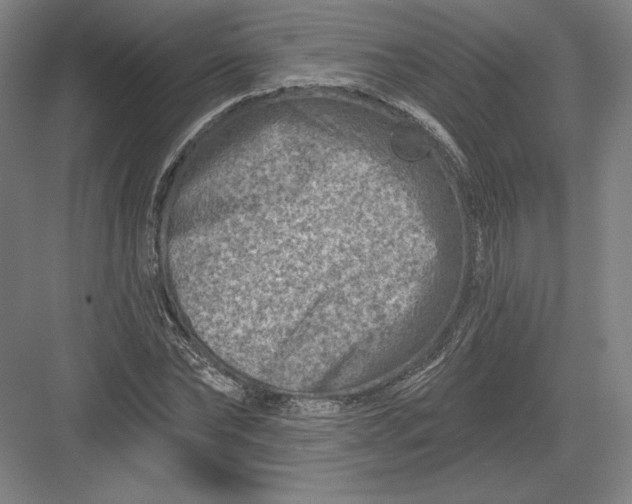 X0000082960878200702152303