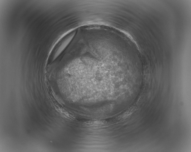 X0000082960879200702152303