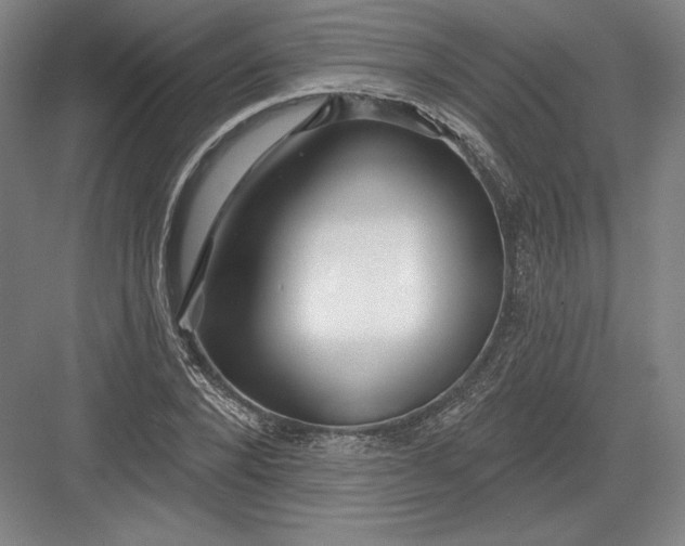 X0000082960880200702152303