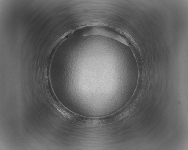 X0000082960881200702152303