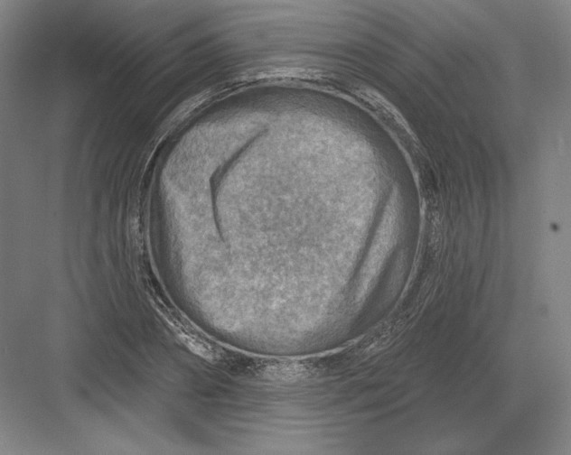 X0000082960882200702152303