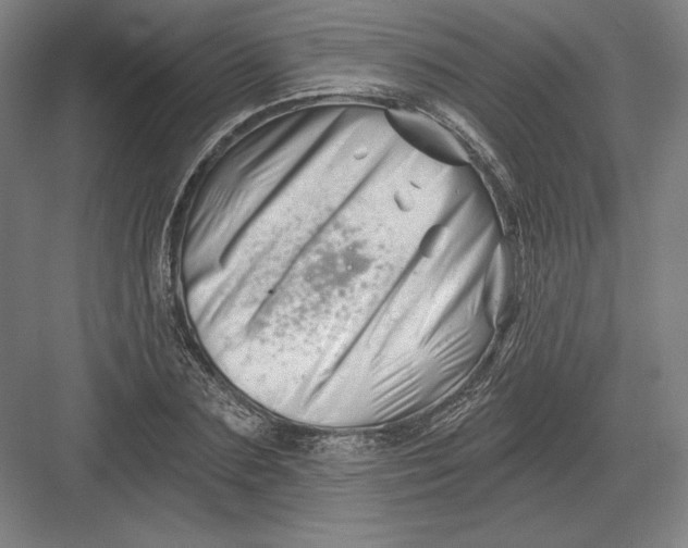 X0000082960883200702152303